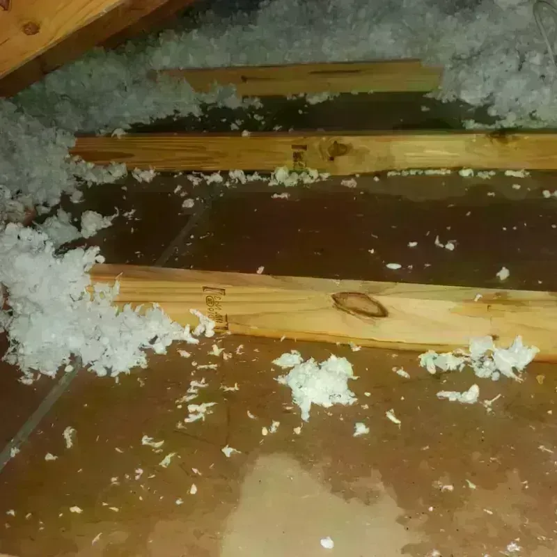 Attic Water Damage in Yoakum County, TX